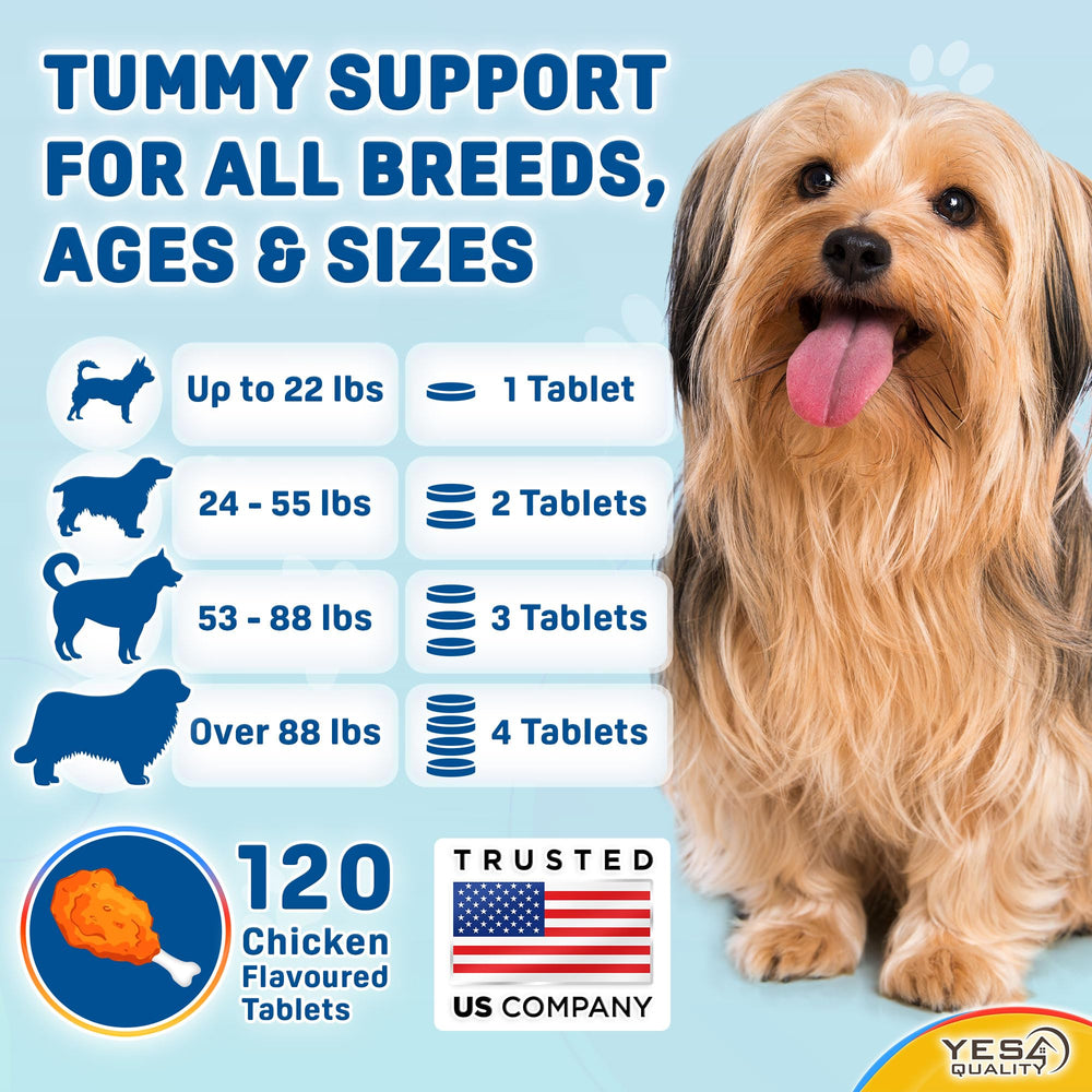 YES4QUALITY probiotic treats alongside a dog-friendly tray, convenient daily digestive care.
