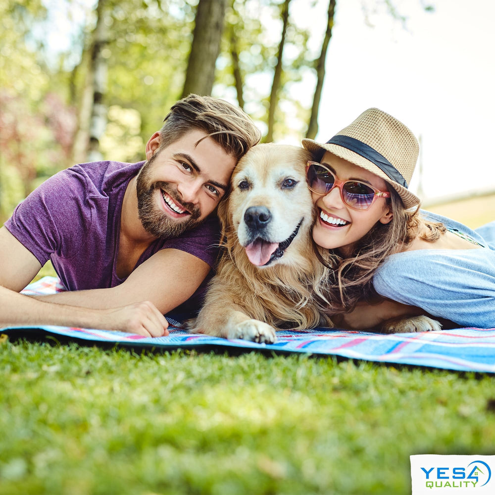 YES4QUALITY Flirt Pole for Dogs ideal for large breeds and powerful workouts