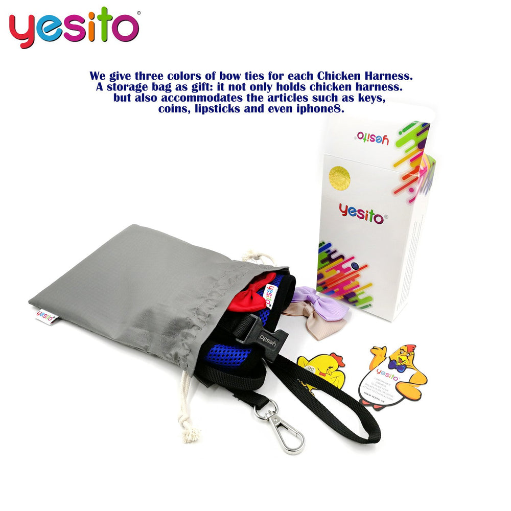 Yesito chicken harness with 6 foot belt supports secure leash walking and training