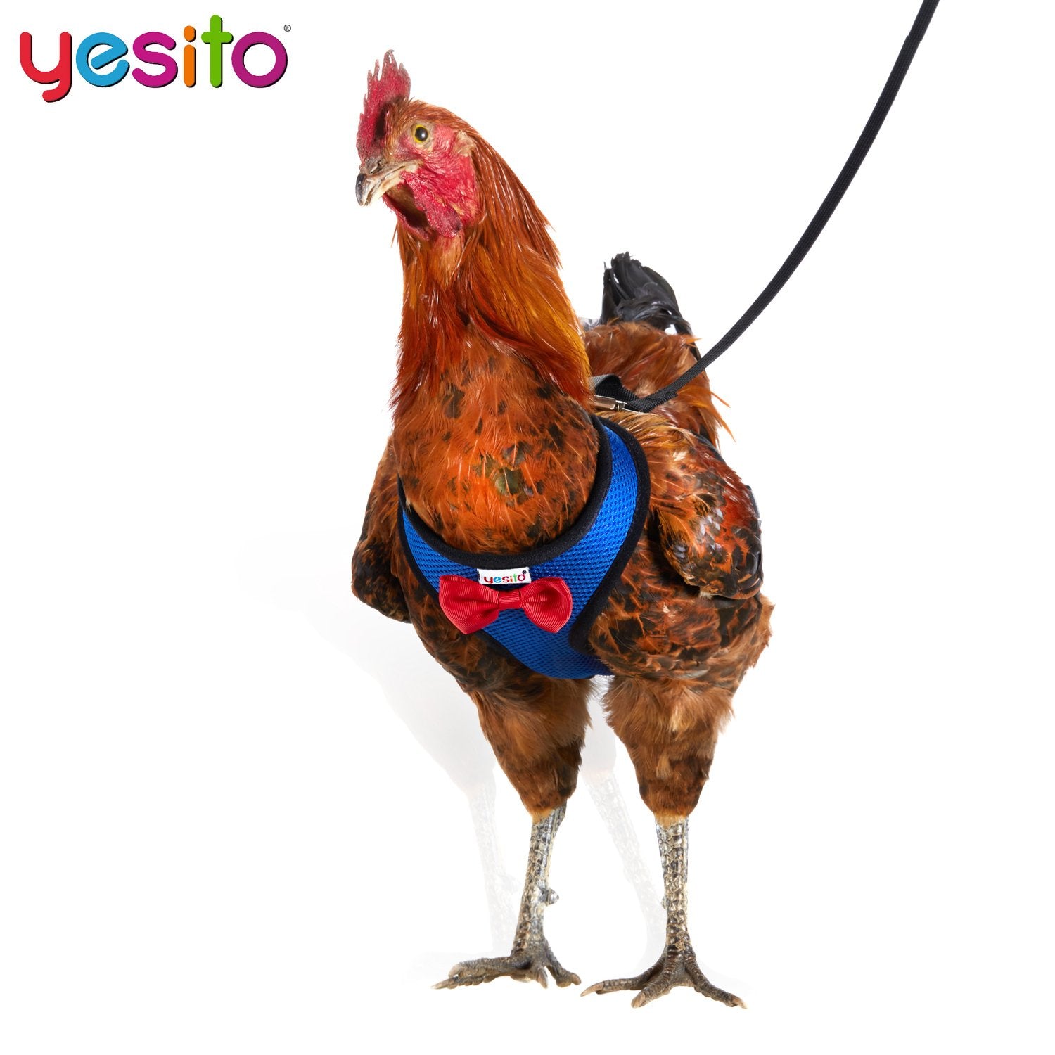 Yesito storage bag included with harness to carry small items