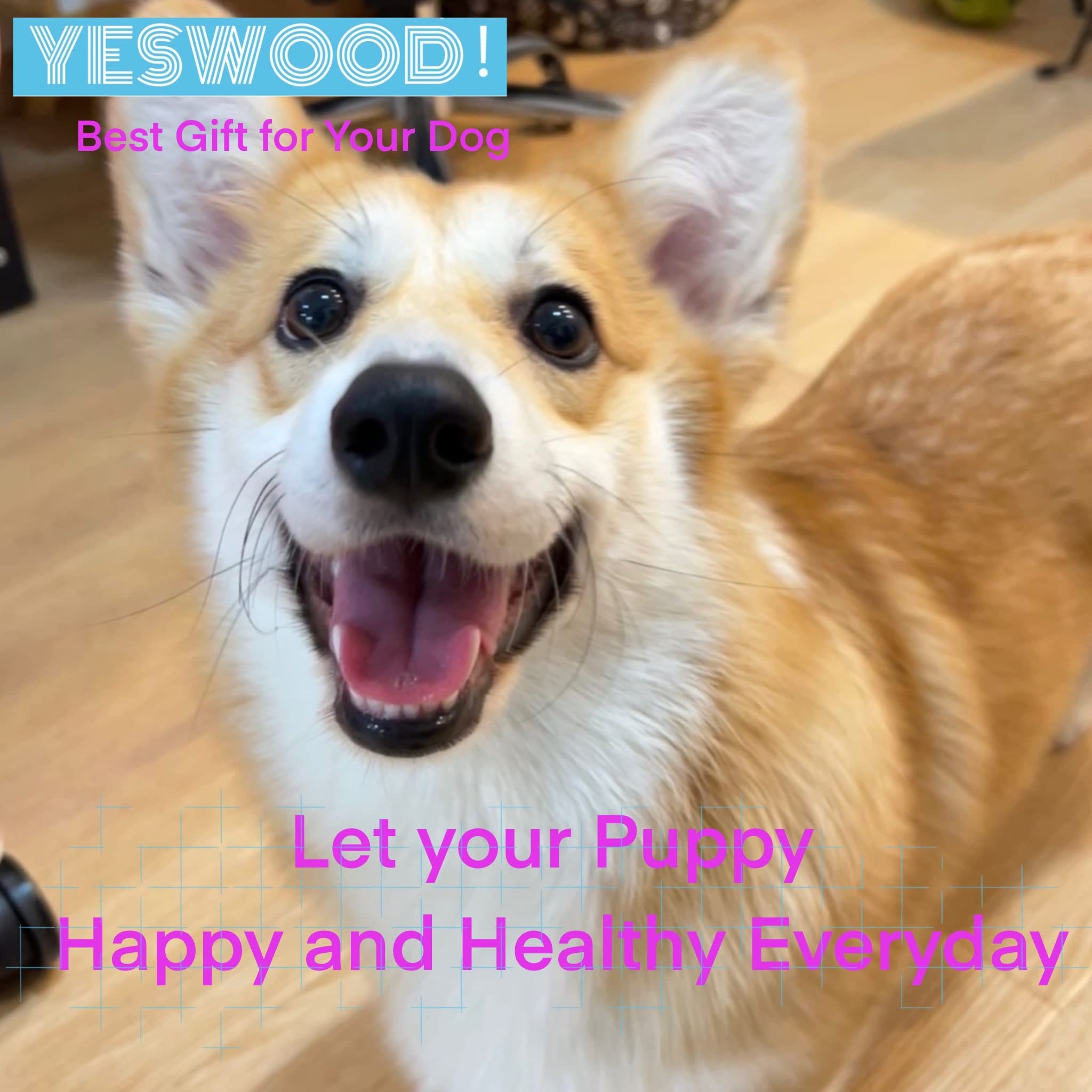 YESWOOD! Three refill pieces included for extended fun and cost-efficient play