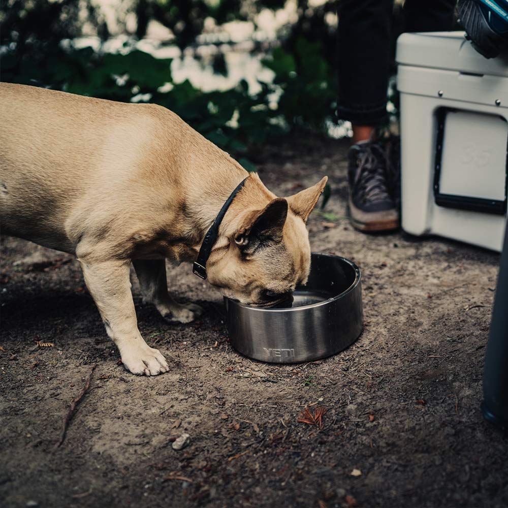 YETI Boomer 8 ideal for kibble and water at home or on the go