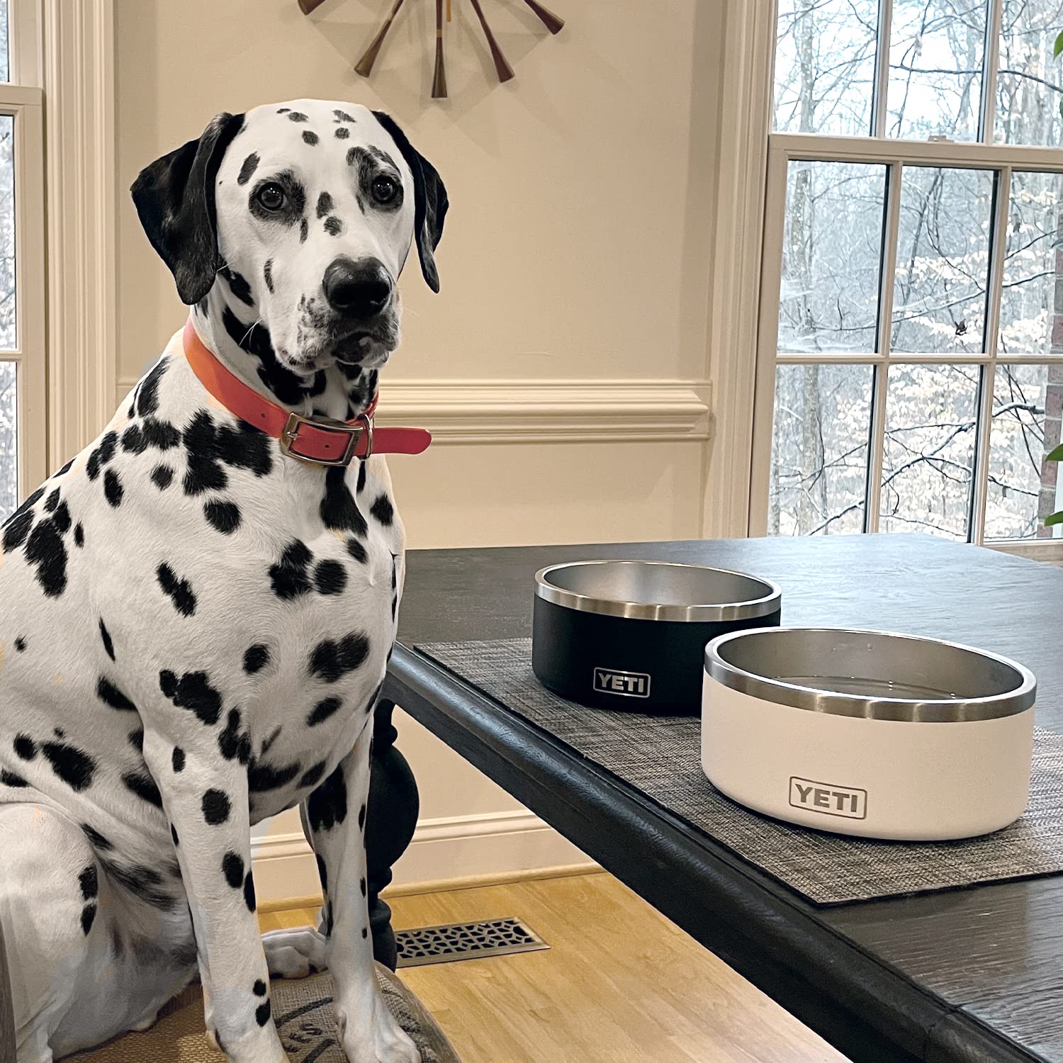 YETI Boomer 8 holds kibble and water for easy daily feeding