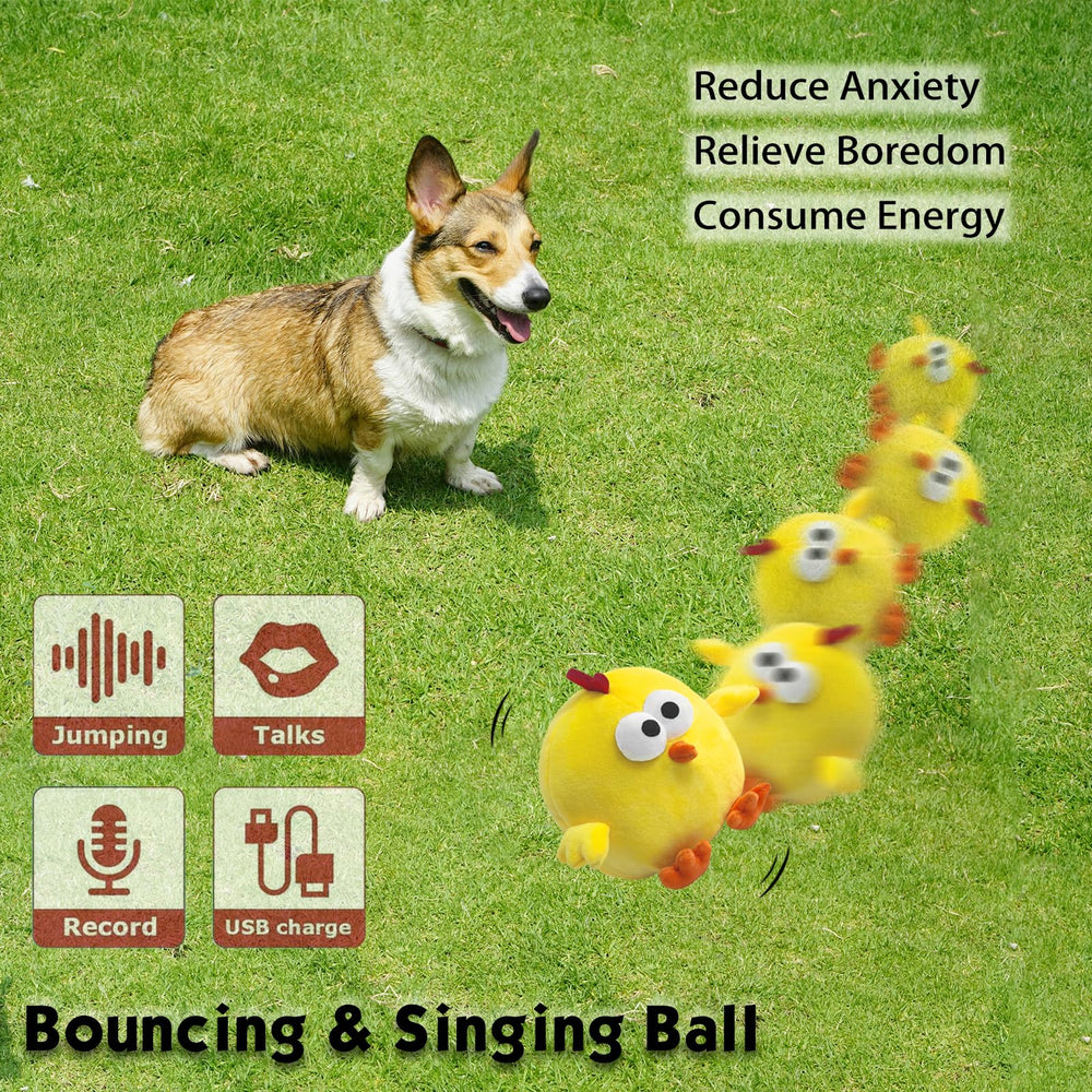 Yewacne rechargeable squeaky toy keeps small dogs engaged with motion and sound