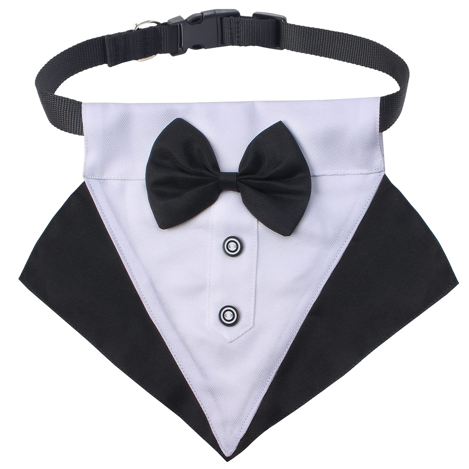 Yewong dog wearing top hat during a formal portrait session.