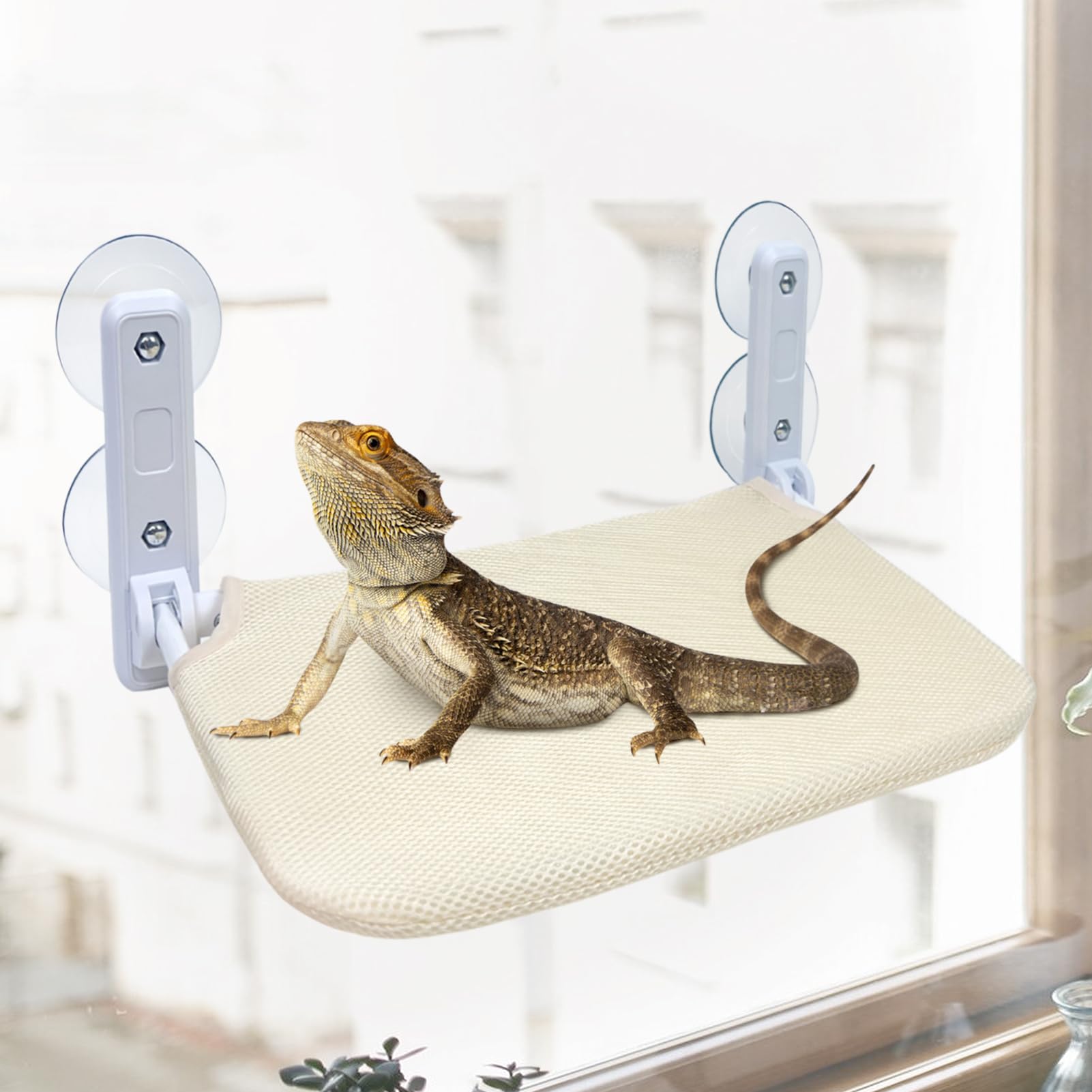 YEXEXINM bearded dragon hammock in window perch setup for safe resting