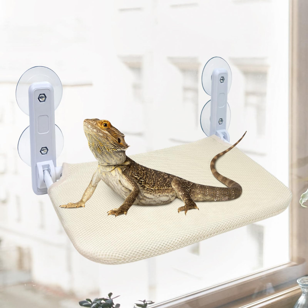 YEXEXINM bearded dragon hammock in window perch setup for safe resting