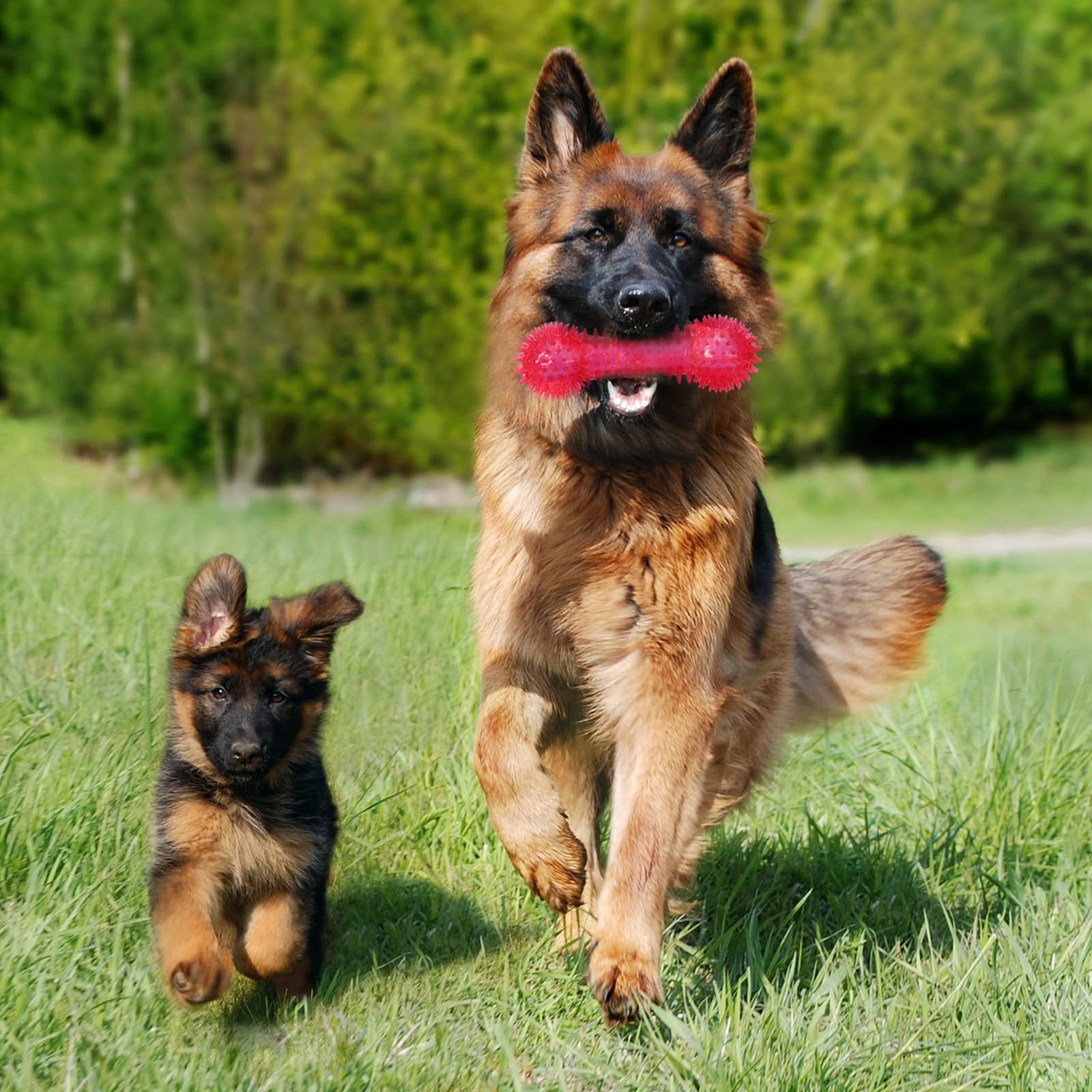 Yexiya bone toy multicolor aids teething relief and durable fetch.