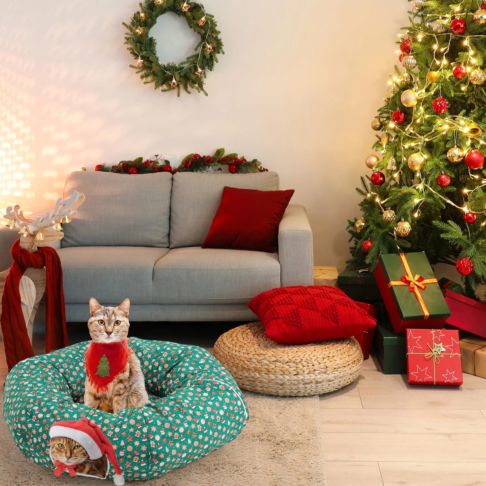 Yeyeplum cat tunnel non-slip bottom designed for safe play.