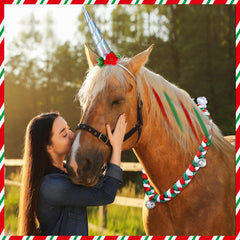 Yeyeplum mane tinsel clip 18in close-up adds glitter to horse mane.