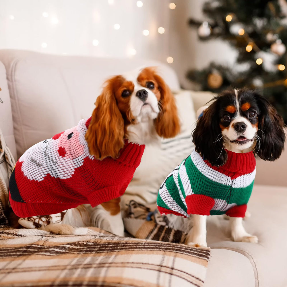 Yeyeplum pet winter knitwear closeup highlights soft acrylic texture.