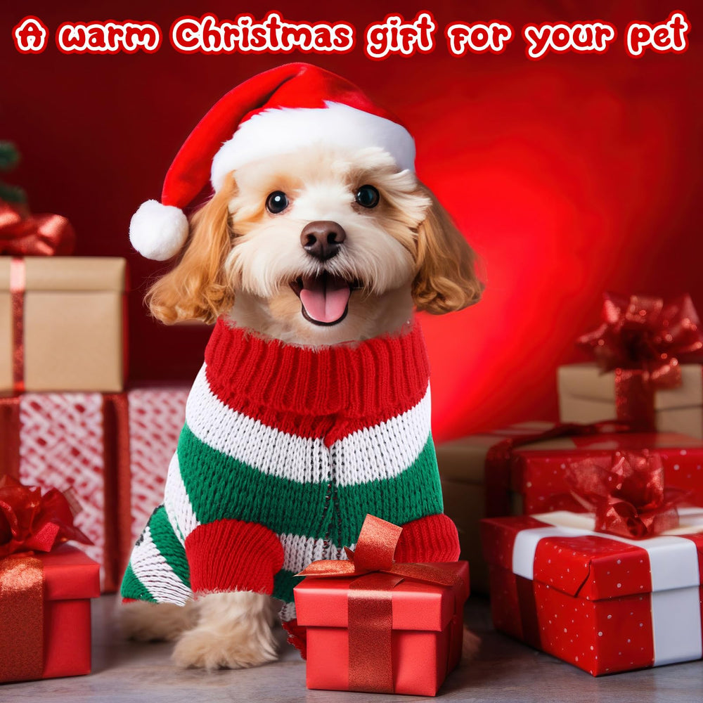 Yeyeplum puppy Christmas photoshoot outfit showing joyful holiday moments.