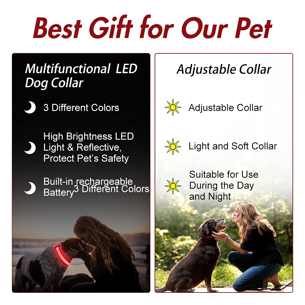 YFbrite adjustable-length LED dog collar fitting various breeds with comfortable glow.