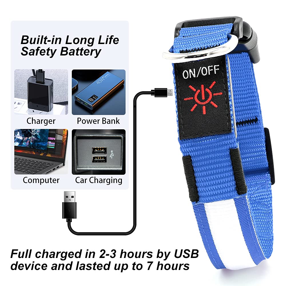 YFbrite LED dog collar 360-degree illumination flags visibility during evening walks