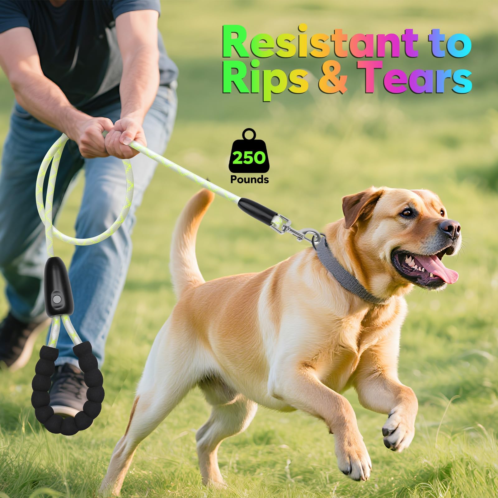 YFbrite heavy-duty clasp ensures durability for active dogs