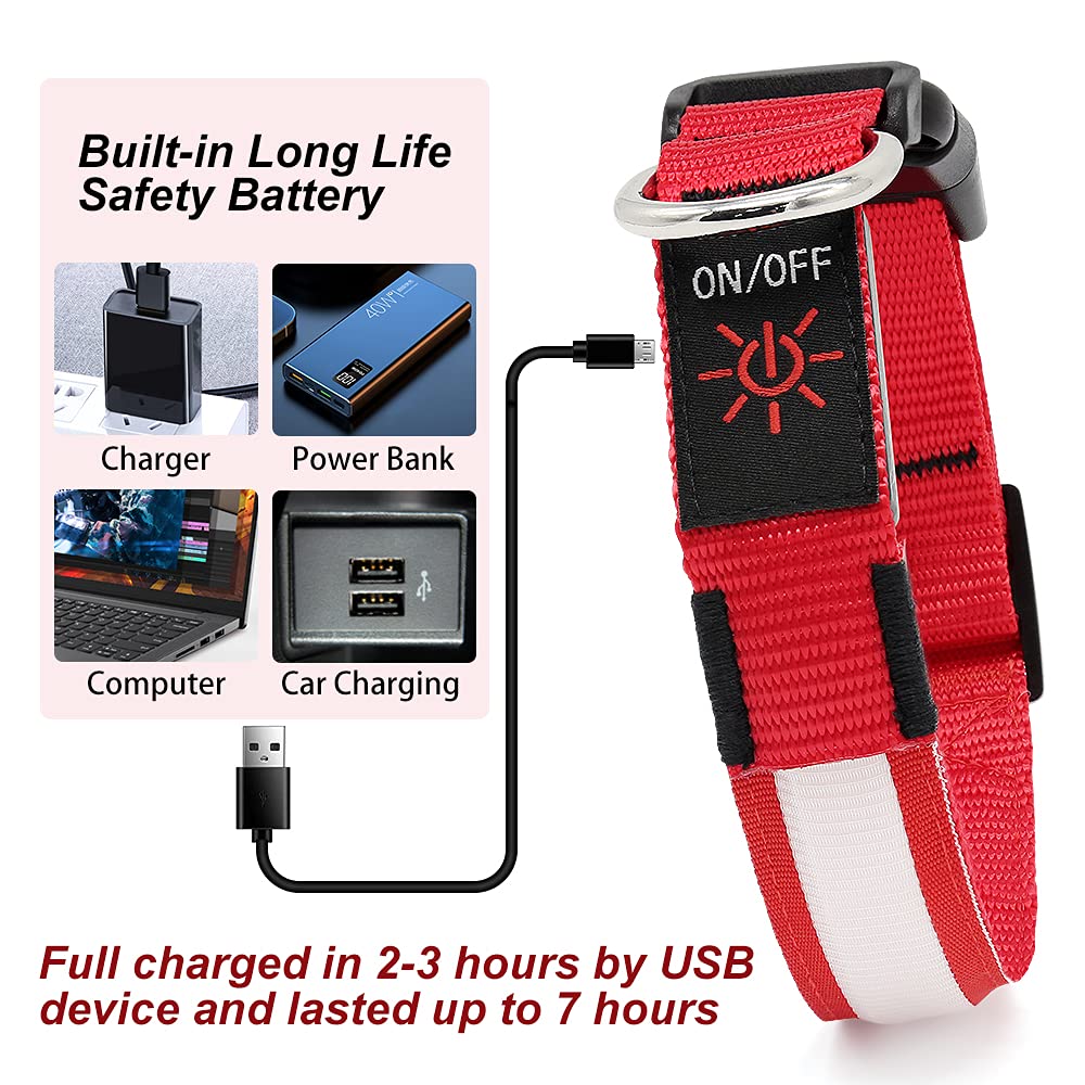 YFbrite LED dog collar 360-degree illumination for all-angle visibility during dusk.