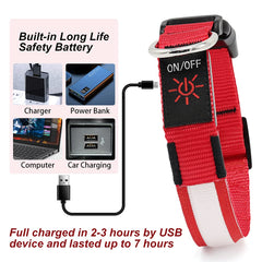 YFbrite LED dog collar 360-degree illumination for all-angle visibility during dusk.