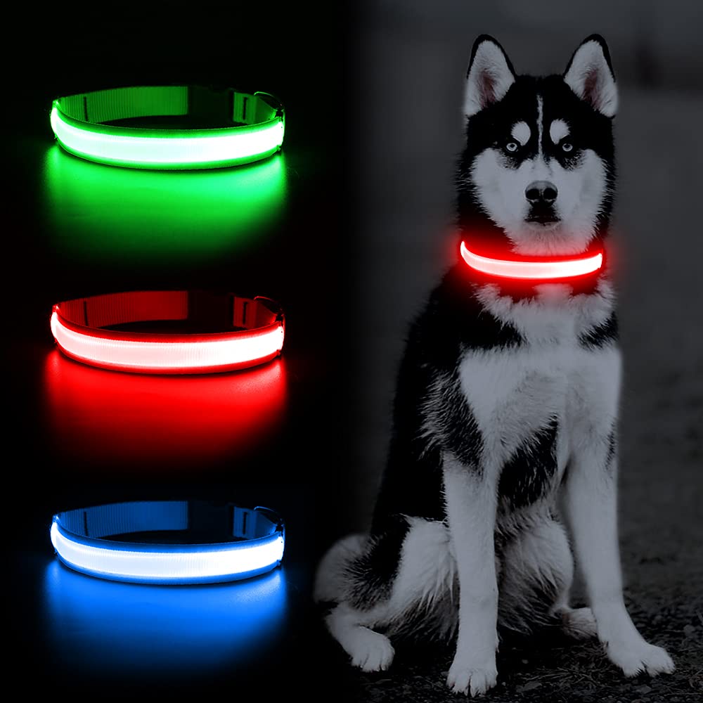YFbrite night-visibility collar demonstrating strong glow for evening journeys.