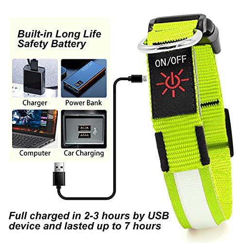 YFbrite LED Dog Collar displaying three modes in the dark