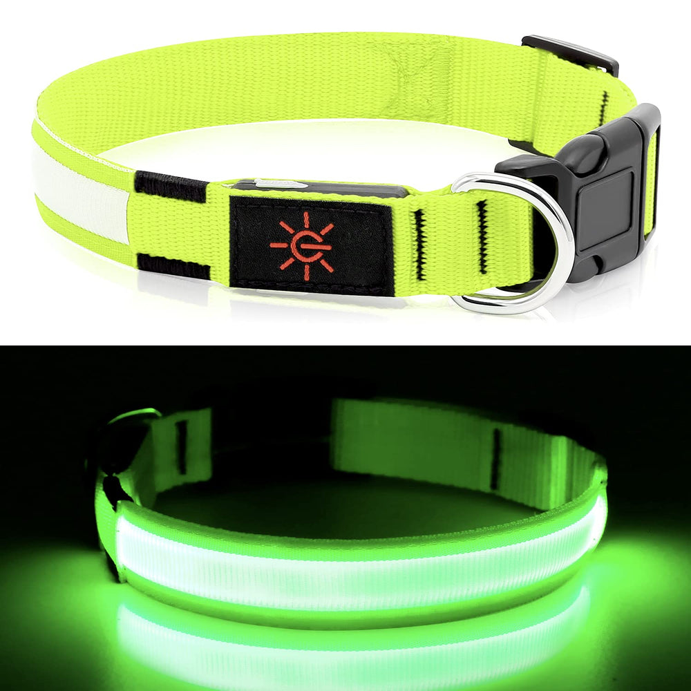 YFbrite LED Dog Collar USB recharge shown with charger
