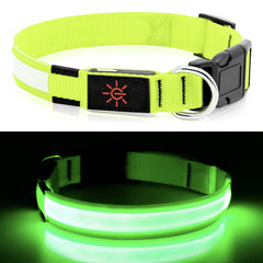 YFbrite LED Dog Collar USB recharge shown with charger
