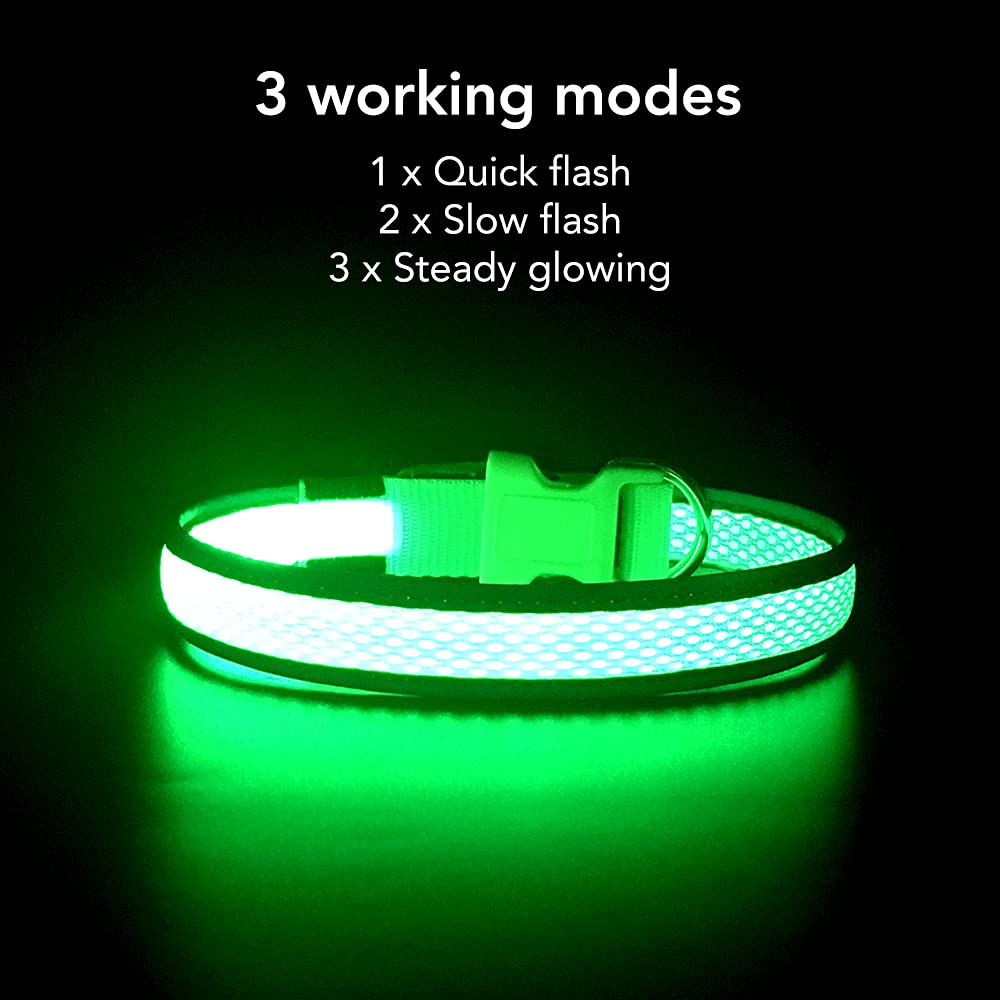 YFbrite light up dog collar worn on dog highlighting secure fit and glow during evening strolls.