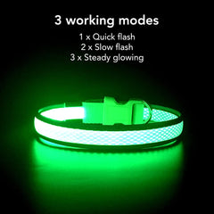 YFbrite light up dog collar worn on dog highlighting secure fit and glow during evening strolls.