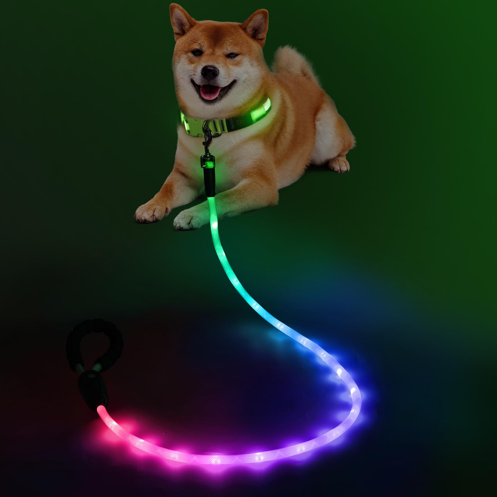 YFbrite light-up dog leash enhances visibility for safe night walks