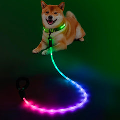 YFbrite light-up dog leash enhances visibility for safe night walks