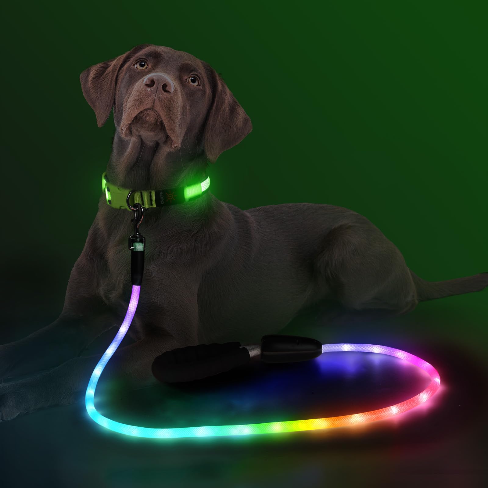 YFbrite multi-color LED leash supports safe, enjoyable evening strolls
