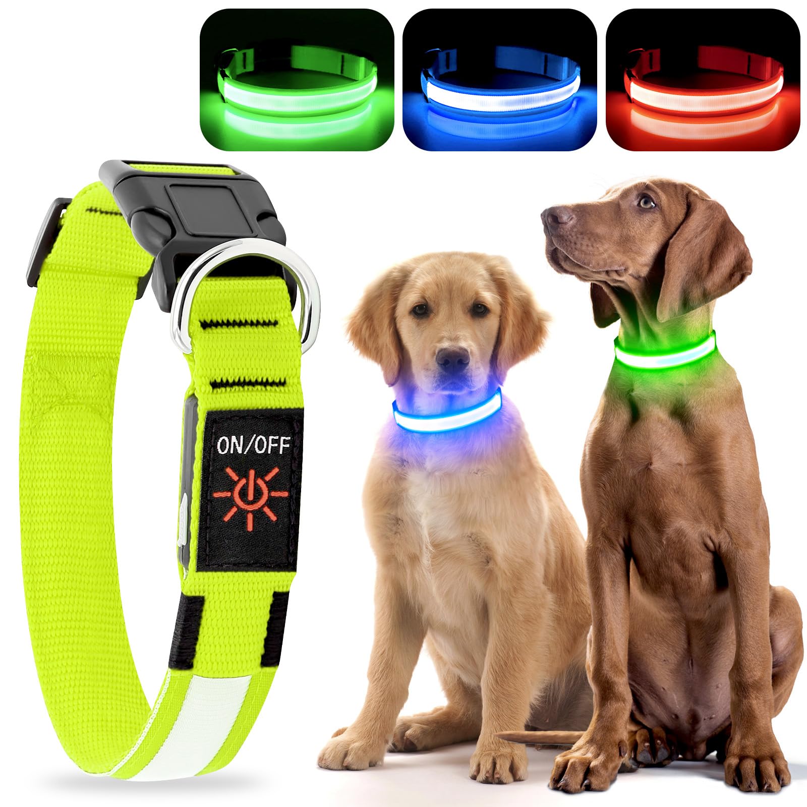YFbrite LED Collar during a night walk on a dim path