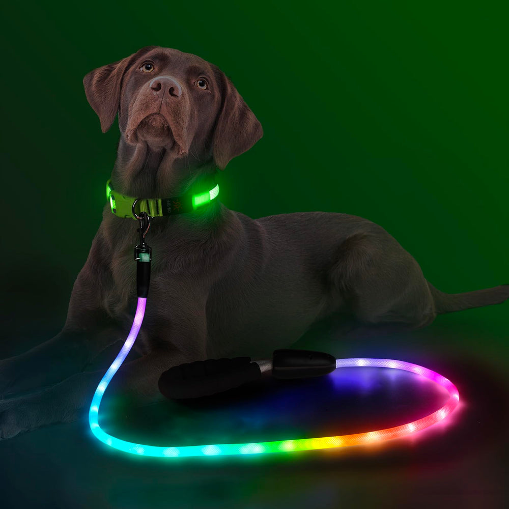 YFbrite night-walk leash enhances visibility and safety