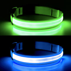 YFbrite Ultra Light LED dog collar blue X-Large side view shows 360-degree illumination