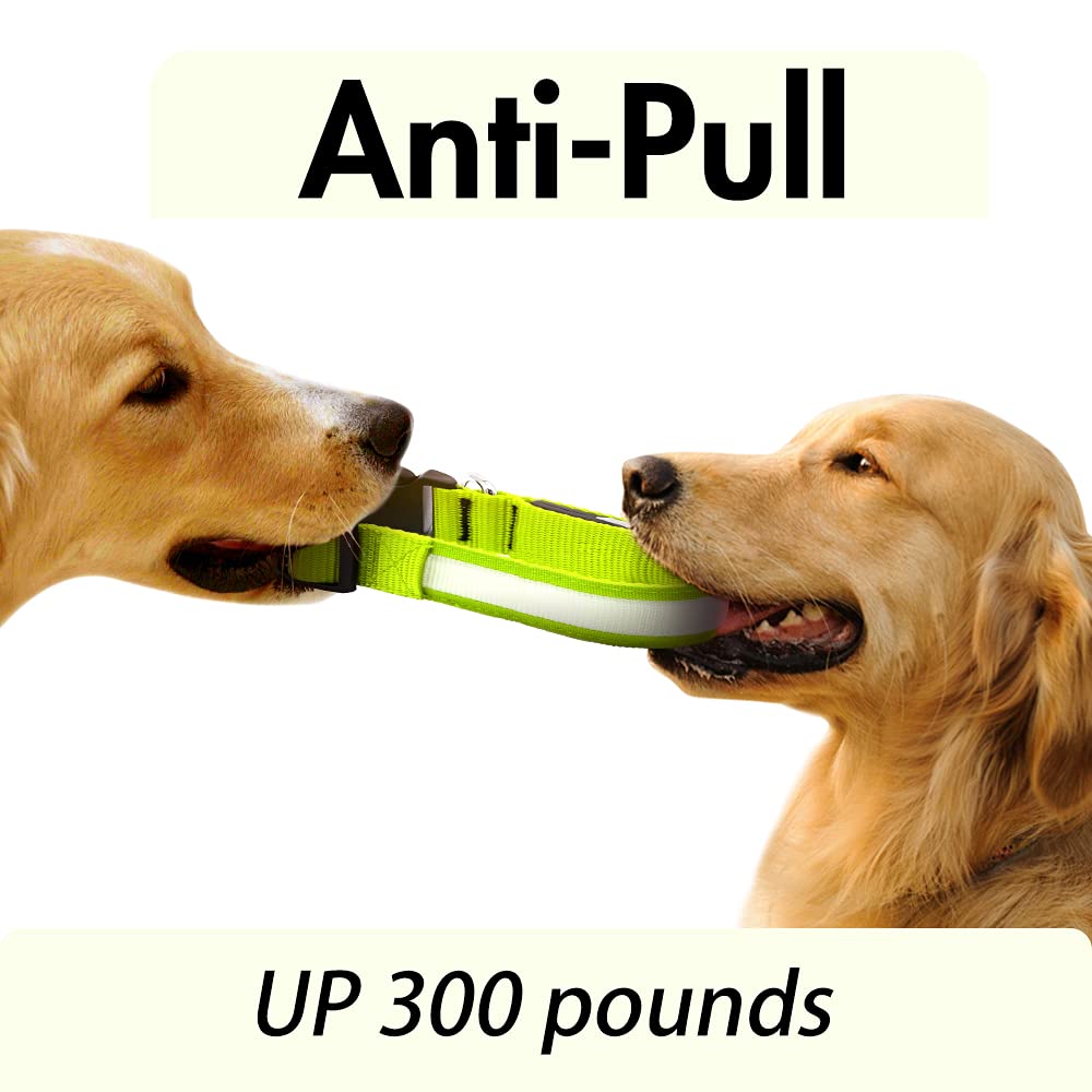 YFbrite Waterproof Dog Collar tested in rain for outdoor use