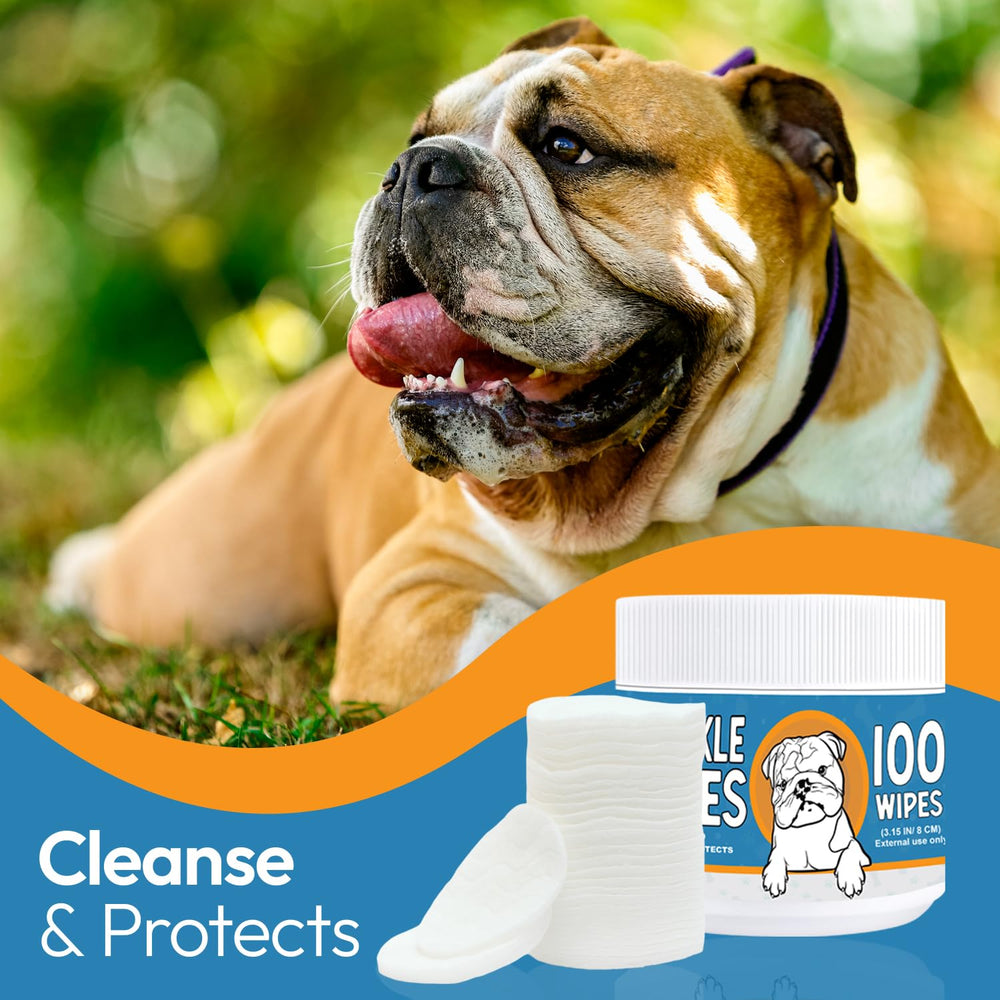 Yibesi Bulldog Wrinkle Wipes 100-count jar supports regular grooming sessions
