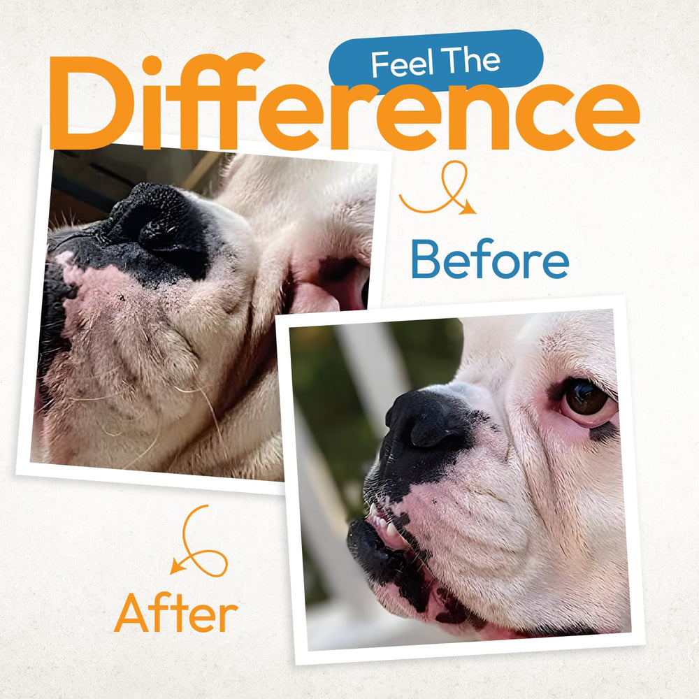 Yibesi Bulldog Wrinkle Wipes honeysuckle extract soothes sensitive folds