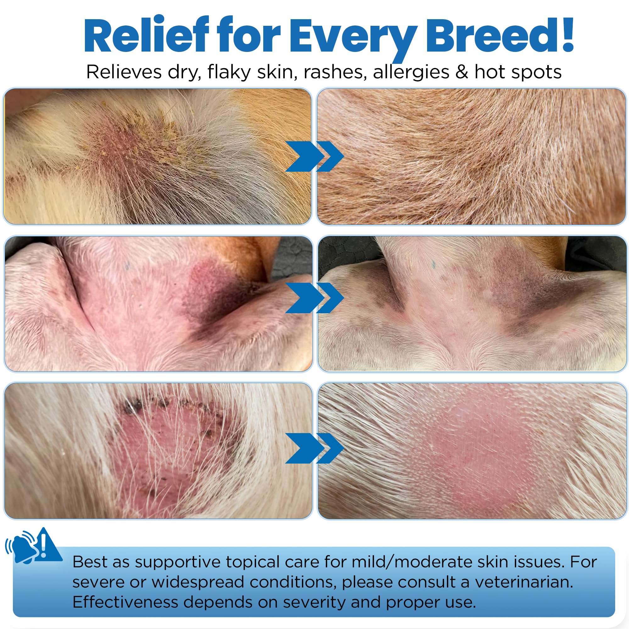 Yibesi Wrinkle Balm for Dogs hot spot care on a paw suggest relief