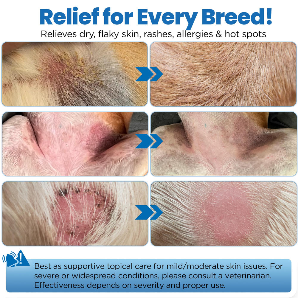 Yibesi Wrinkle Balm for Dogs hot spot care on a paw suggest relief
