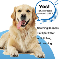 Yibesi Wrinkle Balm for Dogs ingredients rosemary and willow bark display natural care
