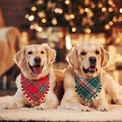 Yicostar green plaid bandana for dogs supports stylish seasonal attire