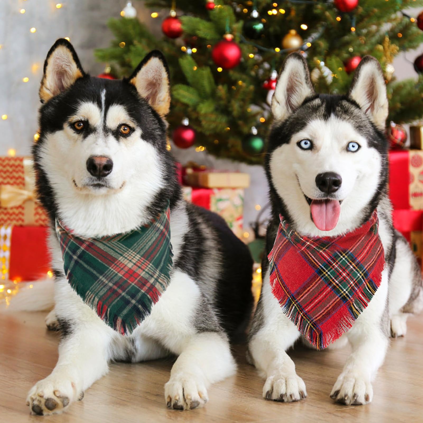 Yicostar festive dog bandana in action during a holiday photoshoot