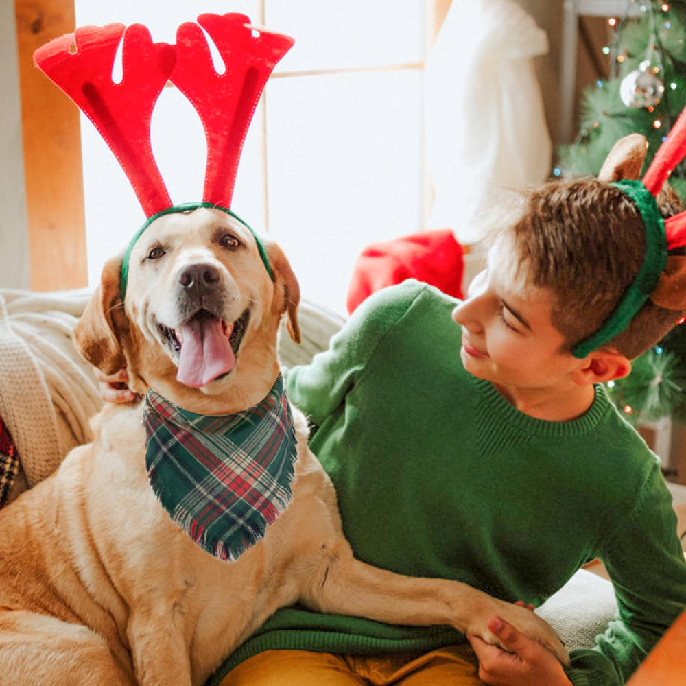 Yicostar holiday dog bandana ready for festive photoshoots and events.