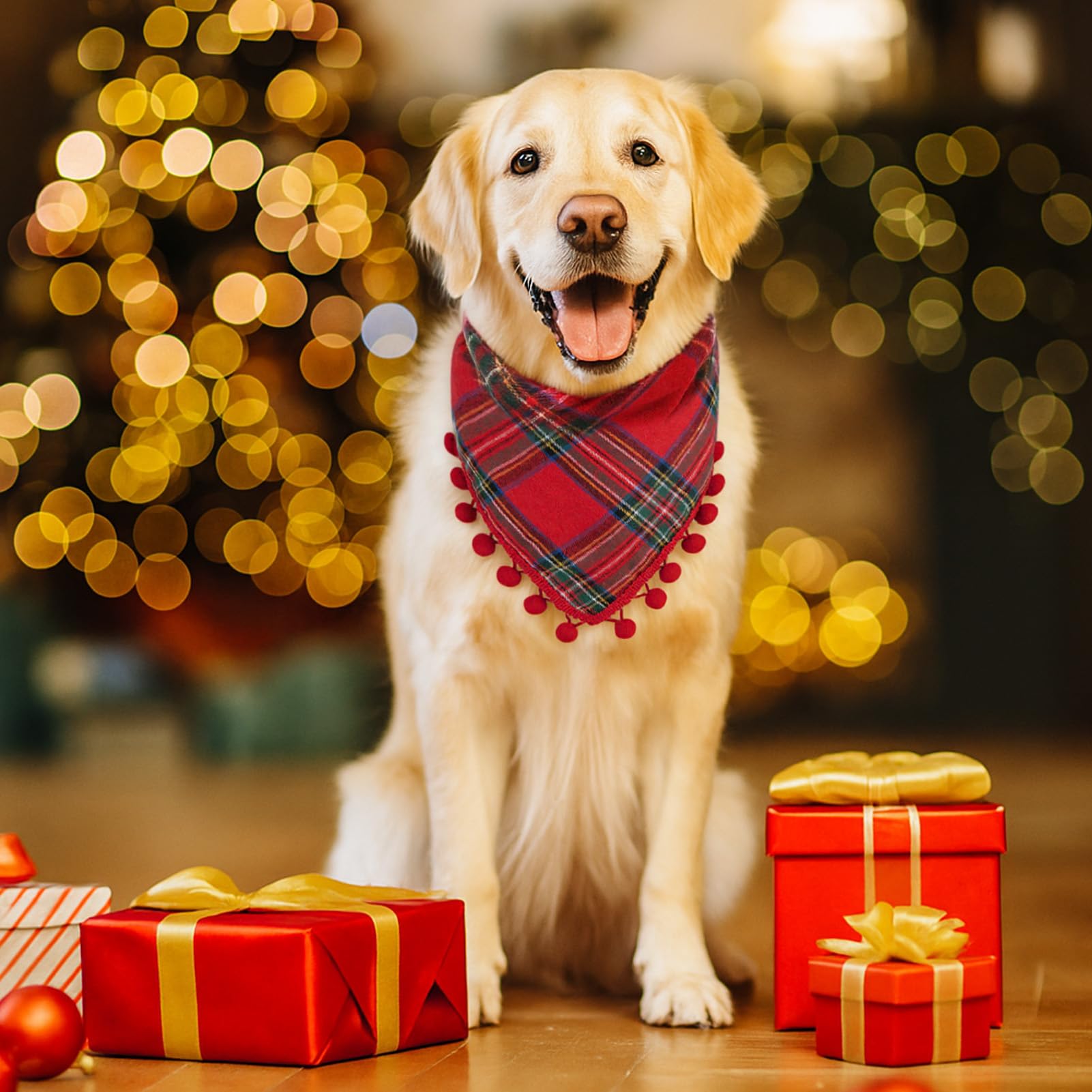 Yicostar two-pack gift-ready set boosts holiday styling options