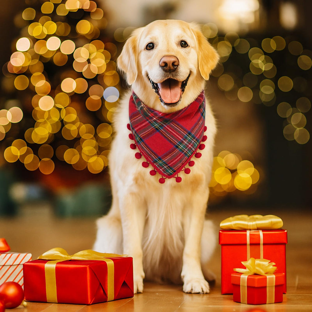 Yicostar two-pack gift-ready set boosts holiday styling options