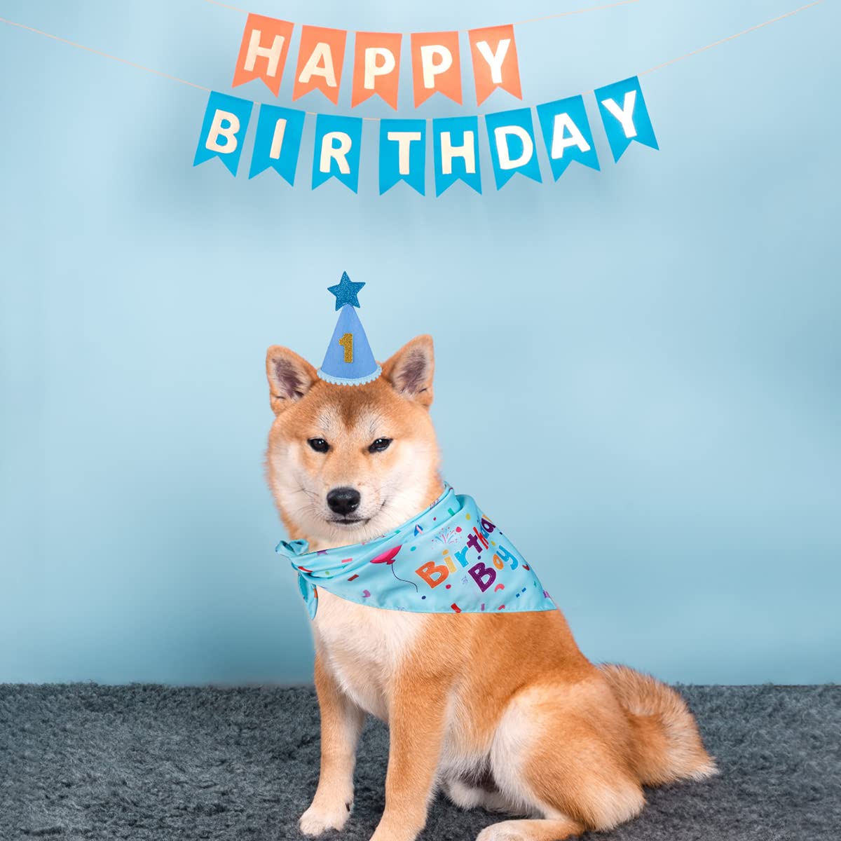 Yicostar birthday gift-pack set for dogs and easy gifting