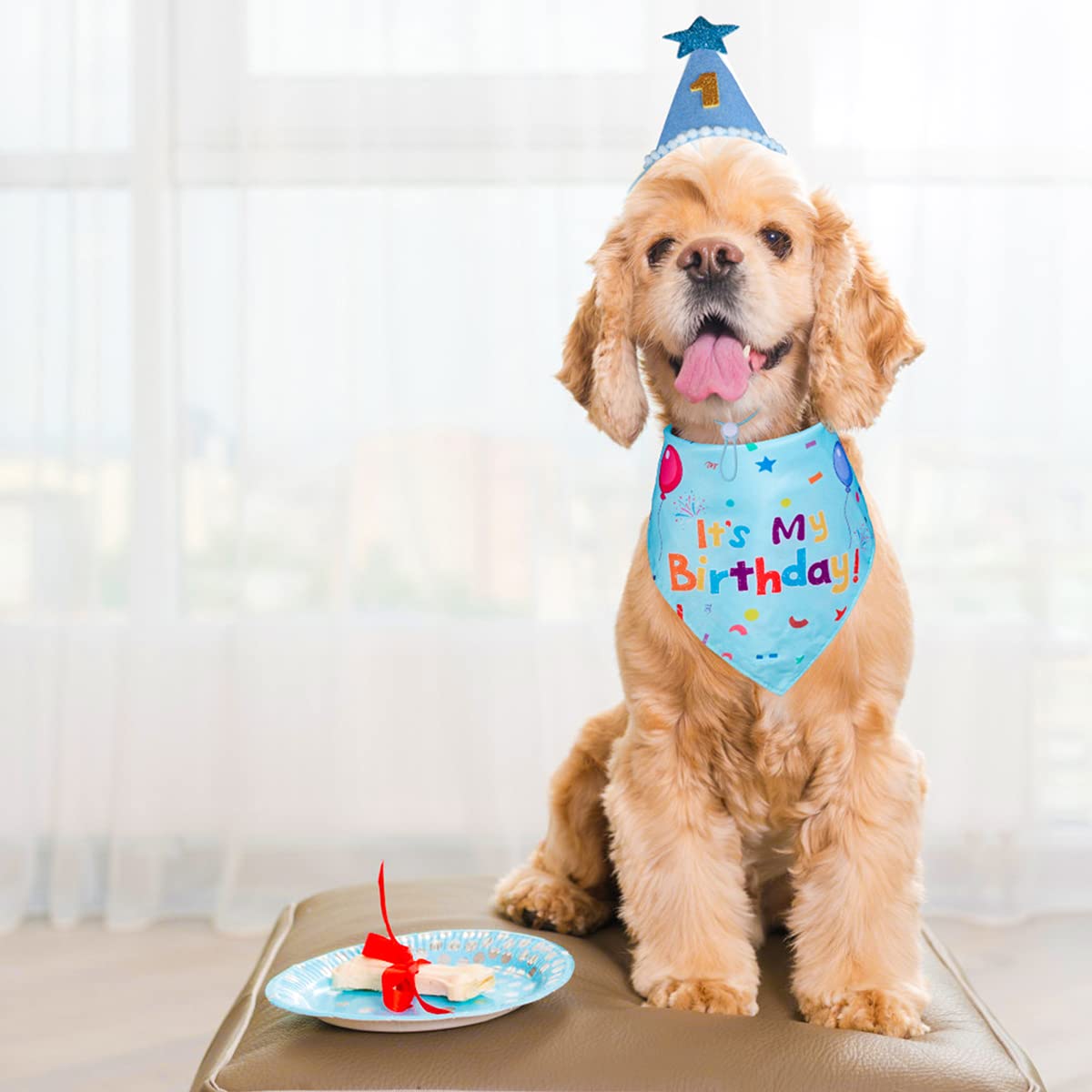 Yicostar dog birthday hat with adjustable elastic for snug fit