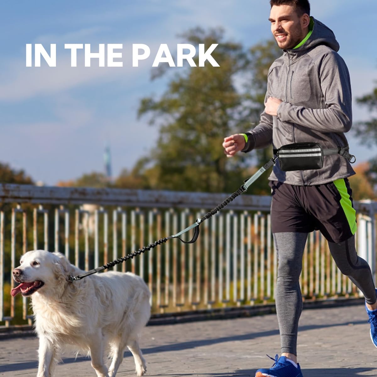 Yicostar reinforced metal clasps: secure connection between you and your dog