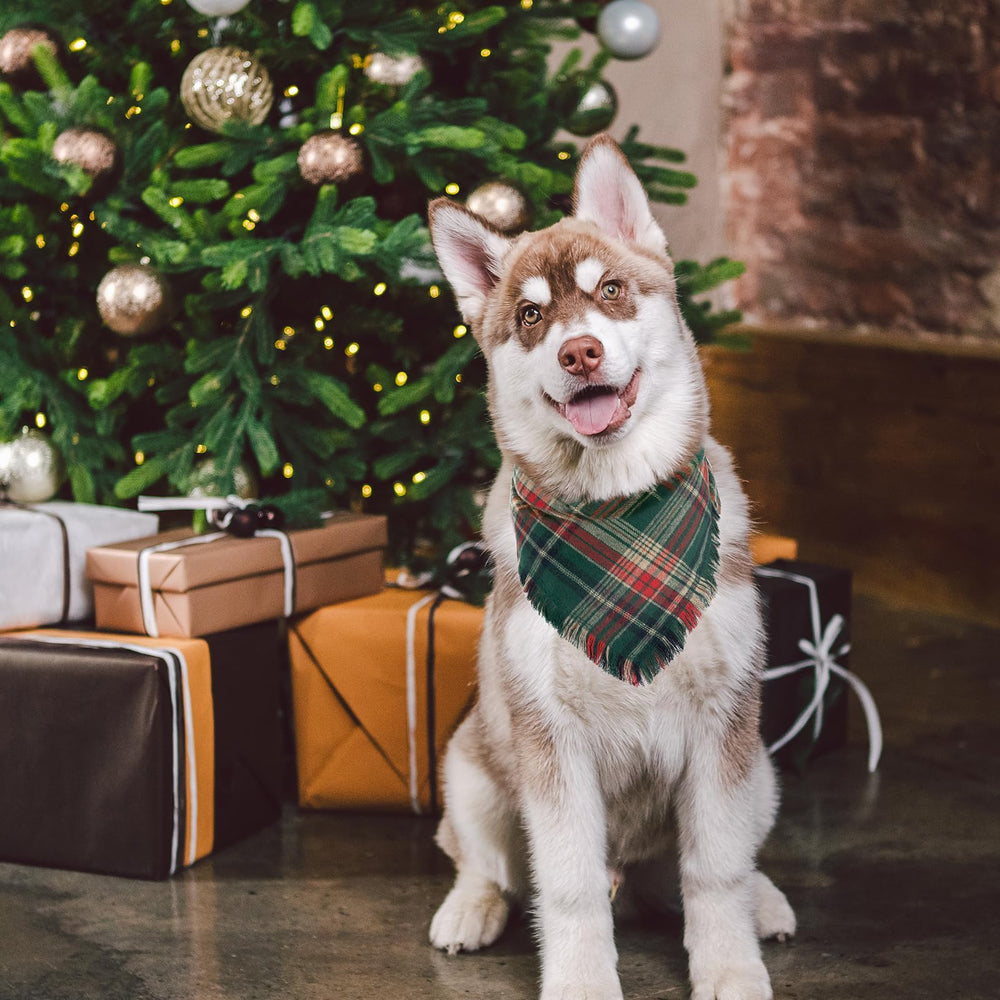 Yicostar two-pack dog bandanas ready for gifting and seasonal styling