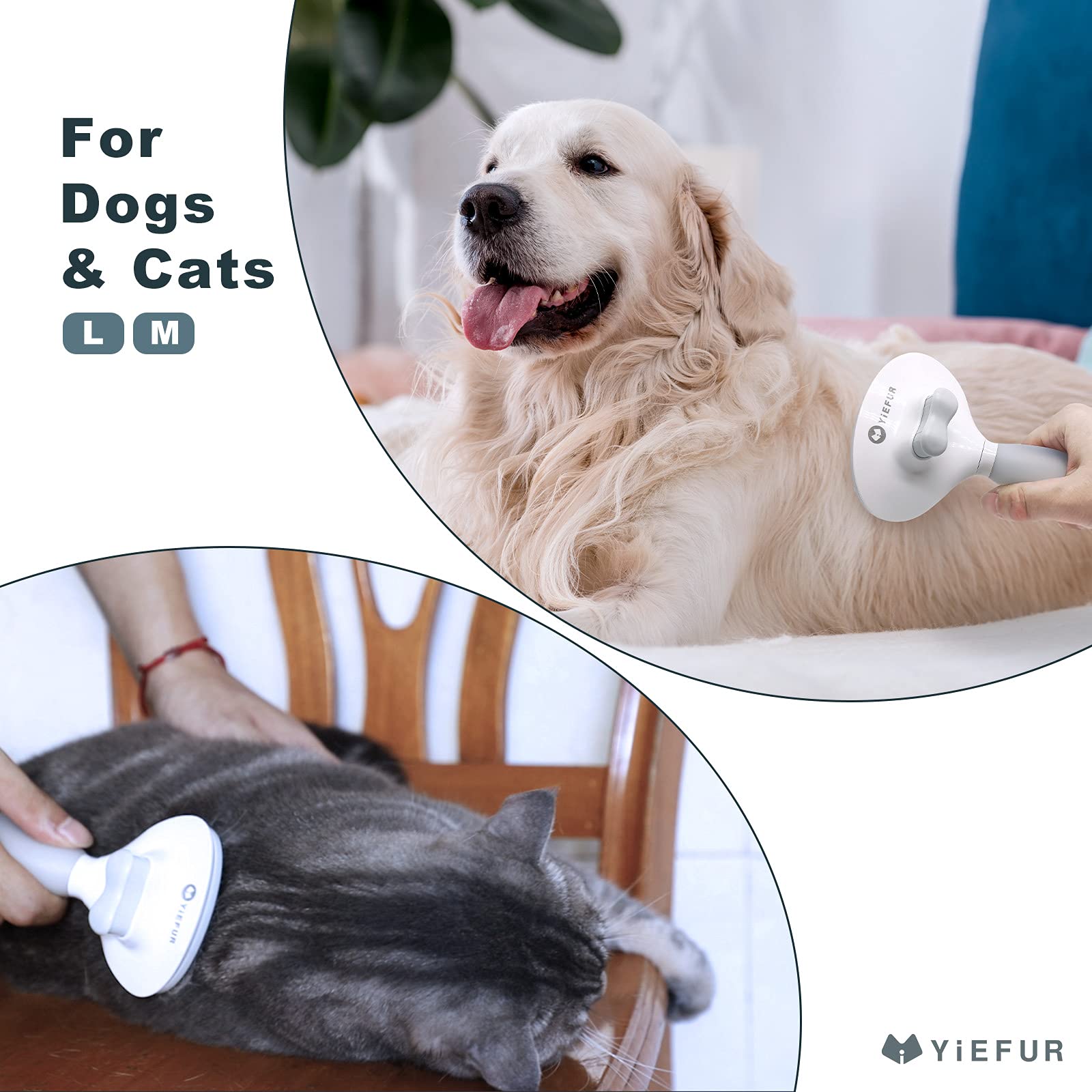 YiEFUR brush works on both short and long-haired cats for shedding