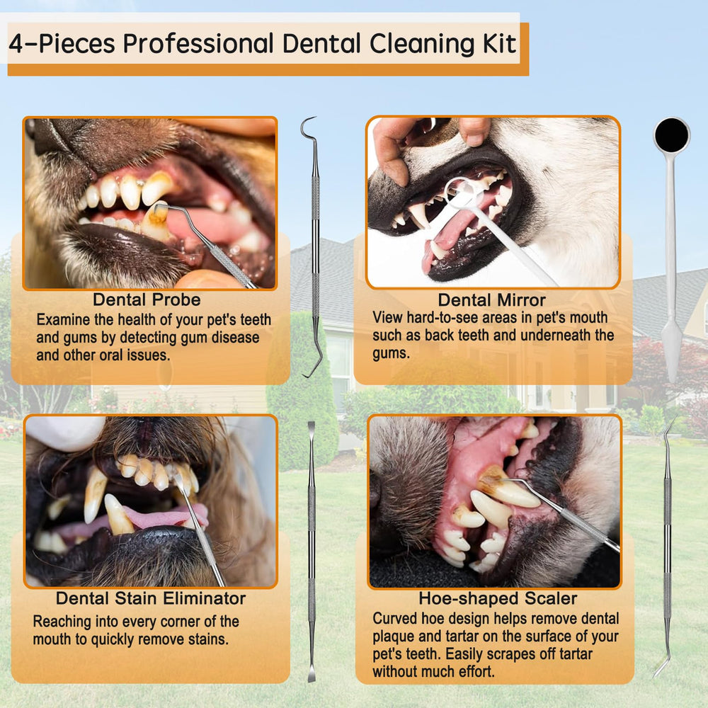 Yienshoo dog electric toothbrush kit hoe-shaped scaler for plaque removal.